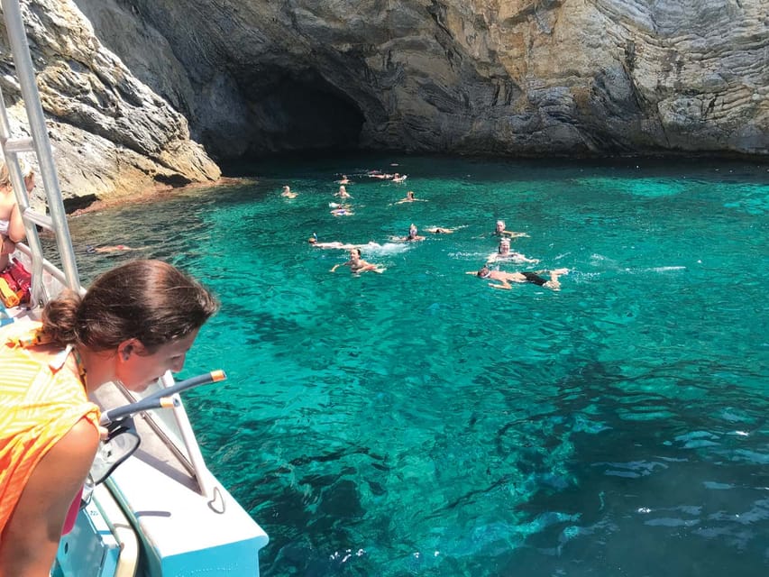 From Palma: Afternoon Dolphin-Watching Boat Tour - Dolphin spotting in the wild: what you can expect