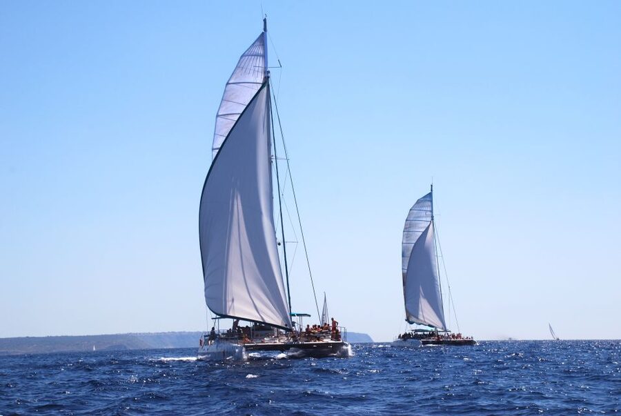 From Palma de Mallorca: Boat Cruise to Illetes - Quick hits before you sail to Illetes