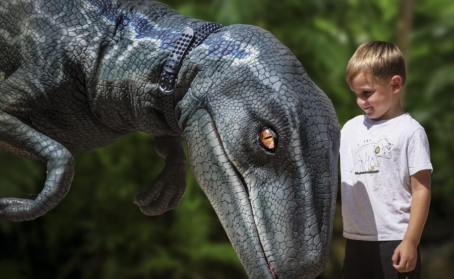From Palma de Mallorca: Dinosaurland tour - Getting From Palma to Dinosaur Land in 5 Hours