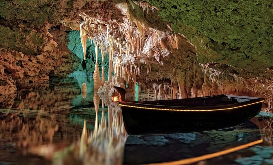 From Palma de Mallorca: Dinosaurland tour - Life-Size Dinosaurs and What 40 Species Actually Means