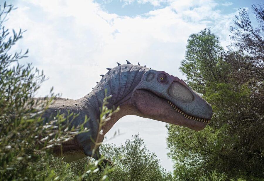 From Palma de Mallorca: Dinosaurland tour - Planning Around No Food Included