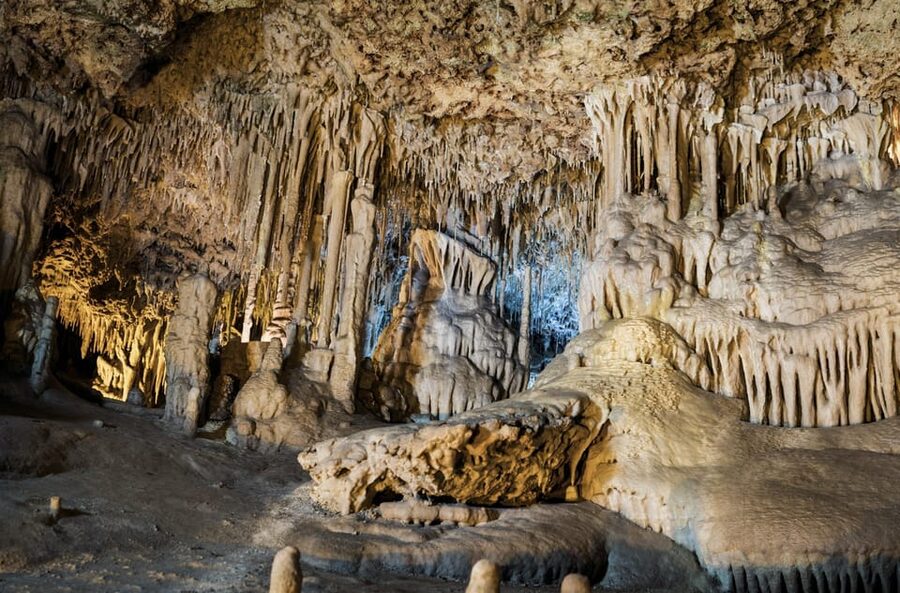 From Palma de Mallorca: Dinosaurland tour - What the 2.25 Hours Inside Feels Like