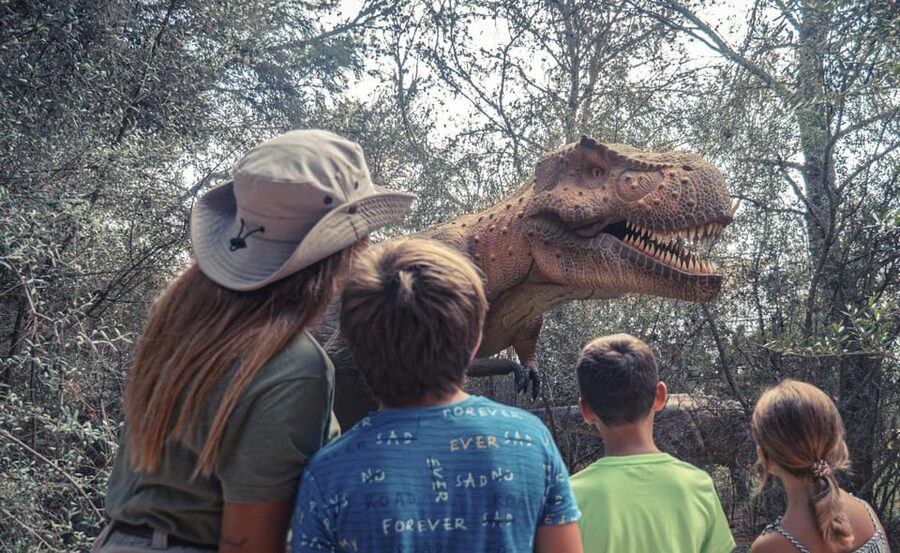 From Palma de Mallorca: Dinosaurland tour - Price and Value: Is $68 a Good Deal?