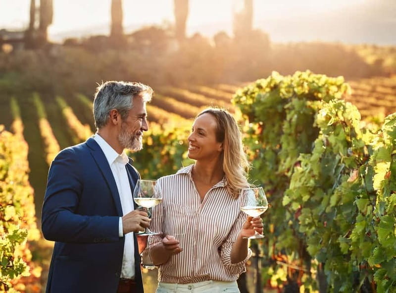 From Palma de Mallorca: Private Wine and Local Flavors Tour - Palma to the Binissalem wineries: timing, pickup, and the small-group feel