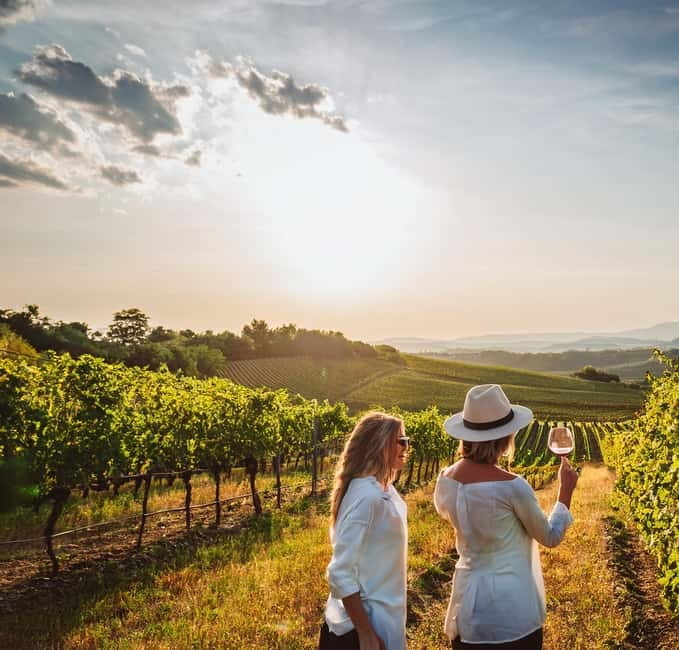 From Palma de Mallorca: Private Wine and Local Flavors Tour - The winery visit: where the story becomes something you can taste