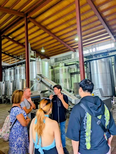 From Palma de Mallorca: Private Wine and Local Flavors Tour - A quick practical checklist before you go