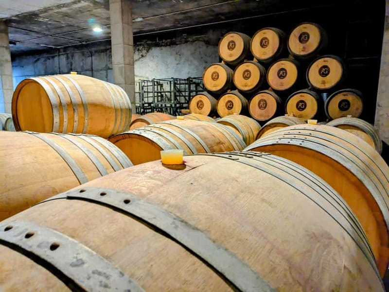From Palma de Mallorca: Private Wine and Local Flavors Tour - Four wines and local snacks: the tasting plan that keeps it practical