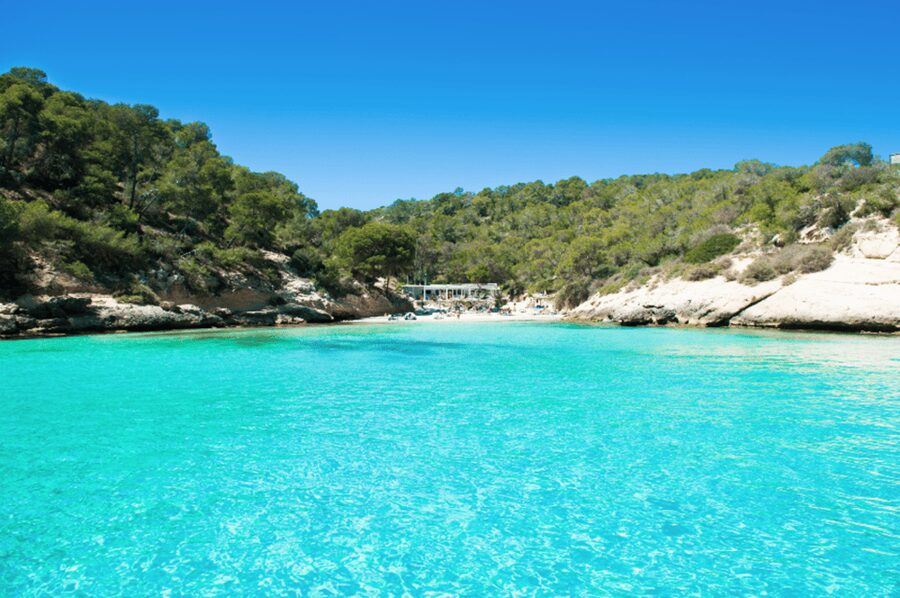 From Palma: Portal Vells Beach and Cave SUP & Snorkel Tour - Key highlights that make this tour worth your time
