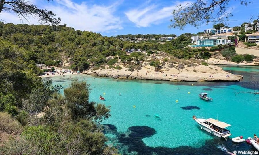From Palma: Portal Vells Beach and Cave SUP & Snorkel Tour - Snorkeling and SUP at Platgeta de Portals Vells
