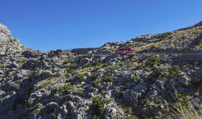From Palma: Serra Tramuntana and Lluc Monastery Guided Tour - Price and value: what $118 buys you