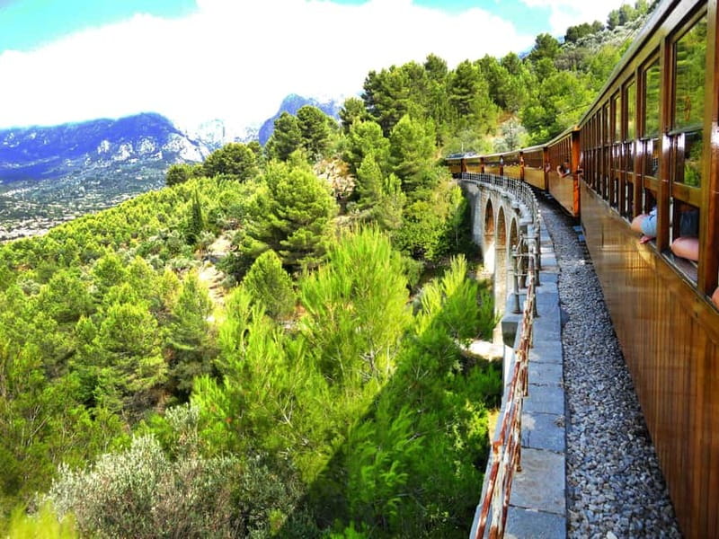 From Palma: Serra Tramuntana and Lluc Monastery Guided Tour - Small gotchas and who should skip this tour