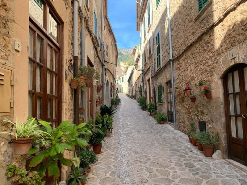 From Palma: Valldemossa Tour and Mountain Viewpoint Hike - Who should consider another option