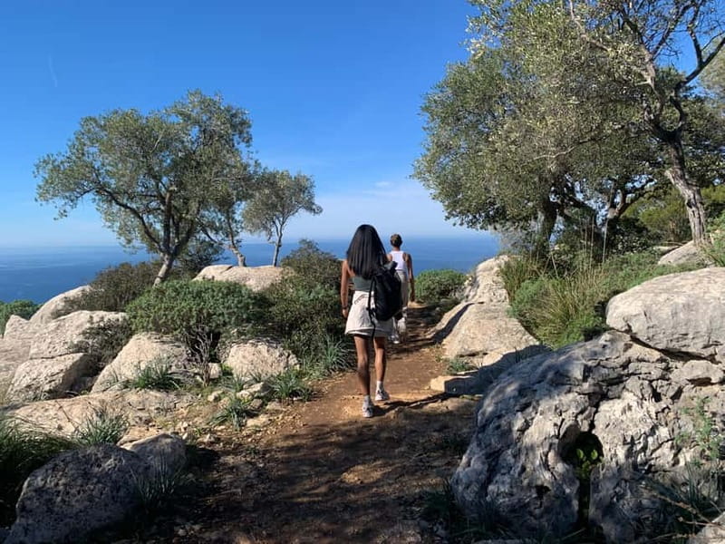 From Palma: Valldemossa Tour and Mountain Viewpoint Hike - Palma to Valldemossa, without the hassle