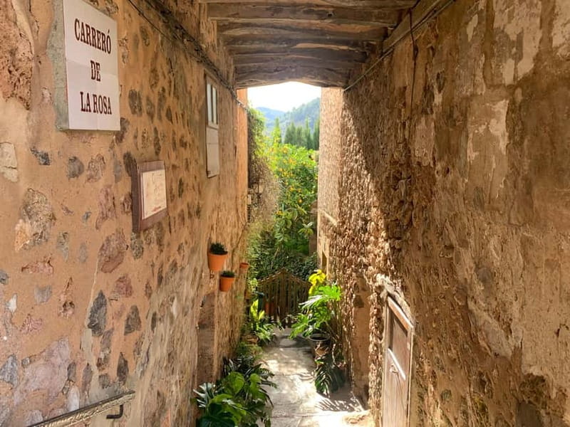 From Palma: Valldemossa Tour and Mountain Viewpoint Hike - Coca de Patata: the included snack that actually feels local