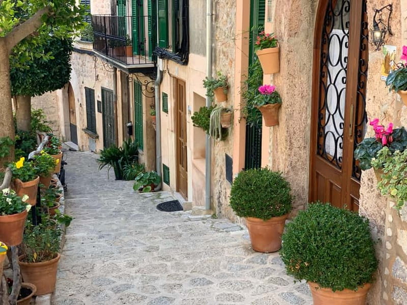 From Palma: Valldemossa Tour and Mountain Viewpoint Hike - Transportation and the small-group advantage (especially on tight schedules)