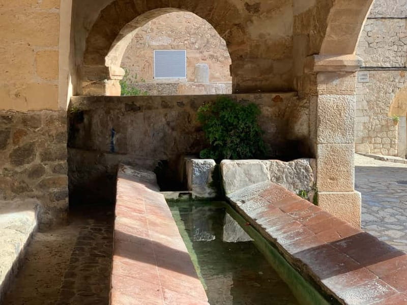 From Palma: Valldemossa Tour and Mountain Viewpoint Hike - Price and value: what $105 buys you here