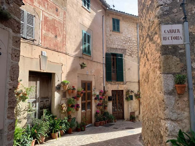 From Palma: Valldemossa Tour and Mountain Viewpoint Hike - Who this tour is best for