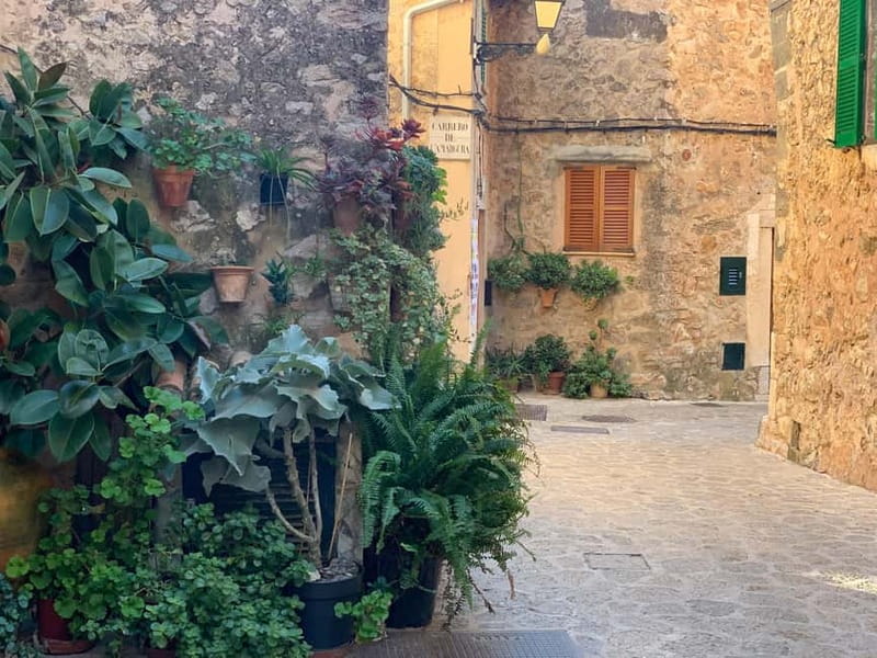 From Palma: Valldemossa Tour and Mountain Viewpoint Hike - The hike plan: easy walking, big payoff at 4 viewpoints