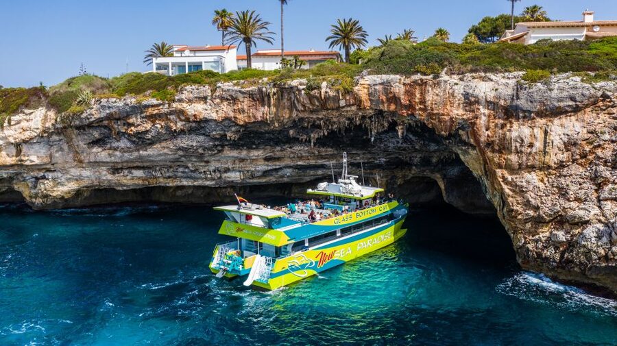 From Porto Cristo: East Coast Glass-Bottom Boat Trip - Key things you’ll notice on this Porto Cristo boat trip