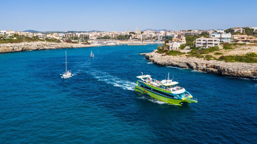 From Porto Cristo: East Coast Glass-Bottom Boat Trip - What you actually see through the glass-bottom windows