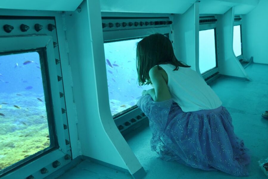 From Porto Cristo: East Coast Glass-Bottom Boat Trip - Comfort and onboard setup: what matters most day to day