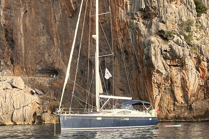 Full Day, Half Day, or Sunset Sailing Cruise with Tapas & Drinks - What Views You Get, Including Palma Cathedral
