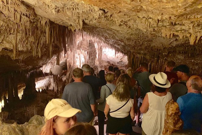 Full-Day Mallorca Caves Tour: Drach, Hams & Pearl Factory Visit - Key highlights worth your attention