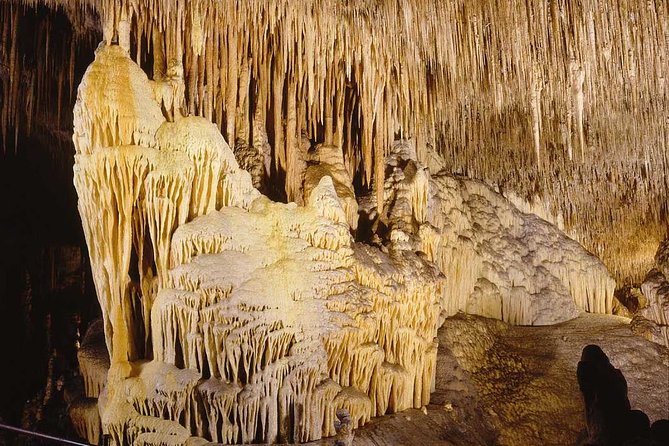 Full-Day Mallorca Caves Tour: Drach, Hams & Pearl Factory Visit - Cuevas dels Hams: fishhook stalactites and the blue Venetian Lake