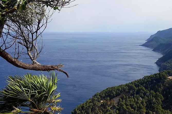 Full-Day Mallorca Caves Tour: Drach, Hams & Pearl Factory Visit - Guides and languages: when it helps, and when it gets repetitive