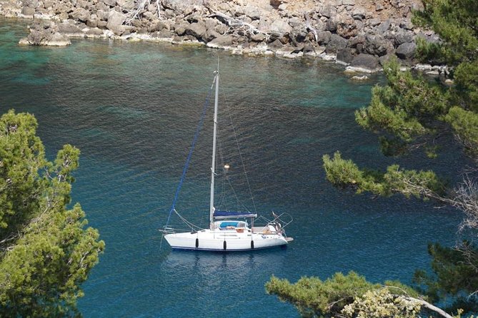 Full-day sailing excursion along the coast - Cala Tuent: Your First 3-Hour Swim and SUP Window