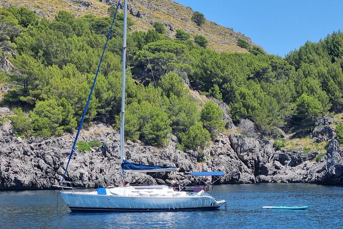 Full-day sailing excursion along the coast - Cost and Value: What $1,390.78 Means for Up to 8