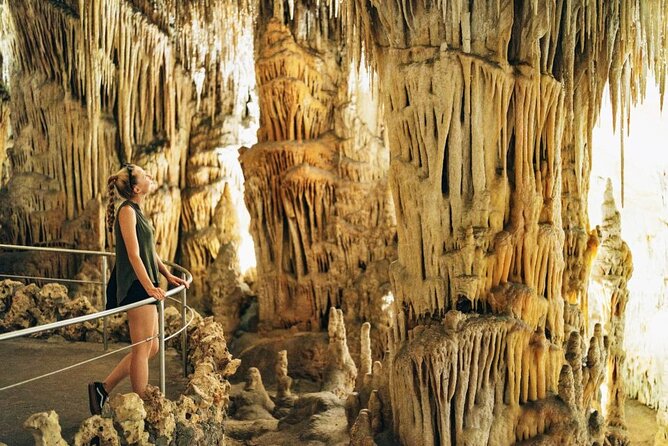 Full-day Tour to Drach Caves and Portocristo Town - Key points at a glance