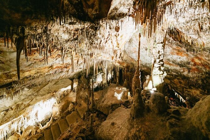 Full-day Tour to Drach Caves and Portocristo Town - Cuevas del Drach: The Big Ticket, and What to Expect Inside