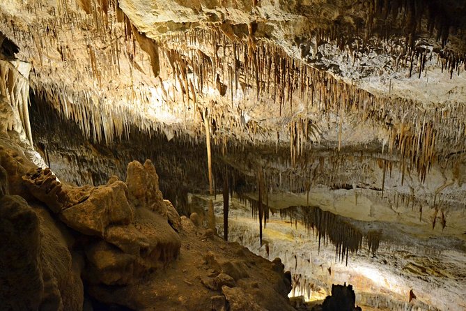Full day tour to the Caves of Drach and Caves of Hams in Mallorca - Majorica Pearls: Worth a Look, Not a Detour
