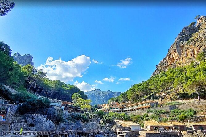 Full Day Tour to the Island of Mallorca - El Tren de Sóller: a slow ride that earns its place