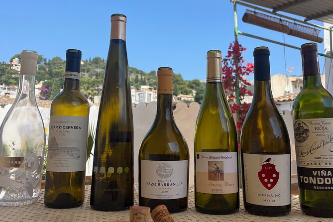 Gastronomic Wine Tasting Experience Guided by a Sommelier - Who this experience suits best