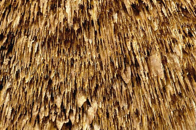 Guided Full-Day Tour of Drach Caves, Porto Cristo & Pearl Factory - Perlart pearl factory: what you get in 40 minutes