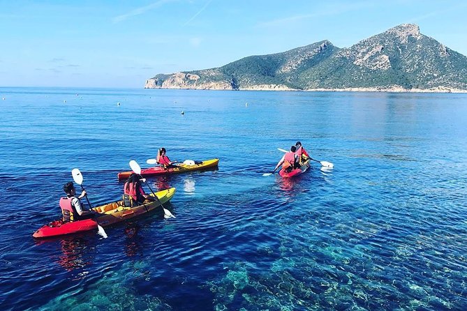 Guided Kayak & Hike from Sant Elm to Sa Dragonera - Quick highlights that matter
