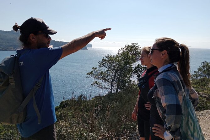 Guided Kayak & Hike from Sant Elm to Sa Dragonera - Stop on the island: short harbor pause, then guided hike