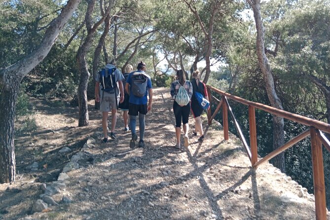 Guided Kayak & Hike from Sant Elm to Sa Dragonera - Swim and snorkel time: turquoise water and a pebble beach