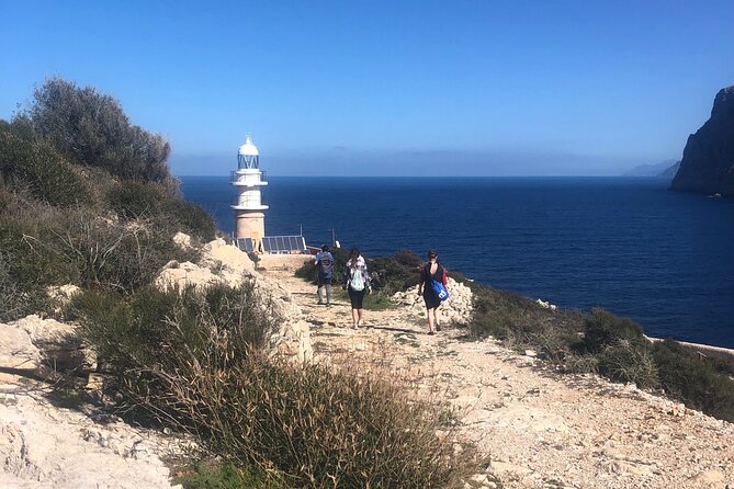 Guided Kayak & Hike from Sant Elm to Sa Dragonera - Sant Elm morning: your start point and what to expect at the dock