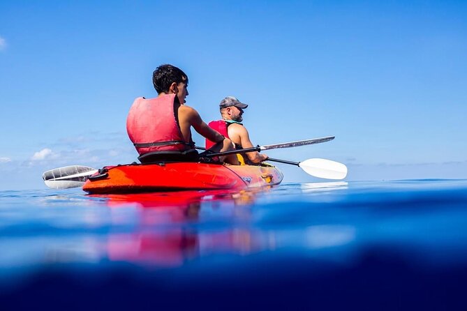 Guided Kayak Tour from Sant Elm to Sa Dragonera - What You’ll Eat and Drink During the Break
