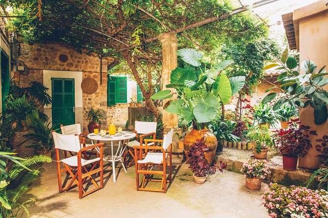 Guided Tasting Tour in 16th century House and Olive Oil Factory - The brunch tasting: what you actually get to eat
