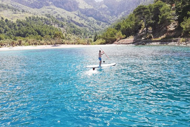 Half Day Sailing Excursion along the Coast - How good is the value for $955.40 per group?