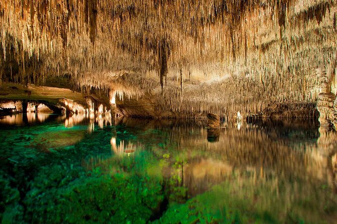 Half Day Tour Bus to the Caves of Drach - Key things to know before you go
