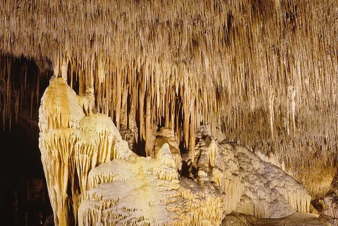 Half Day Tour Bus to the Caves of Drach - Who should book this tour, and who should reconsider