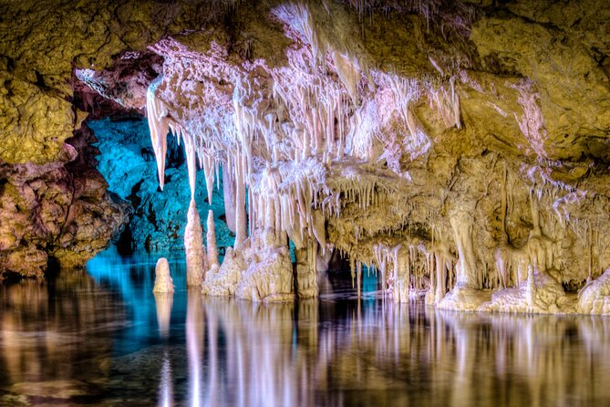 Half Day Tour to Dinosaur Land in Mallorca - Key highlights you will actually feel