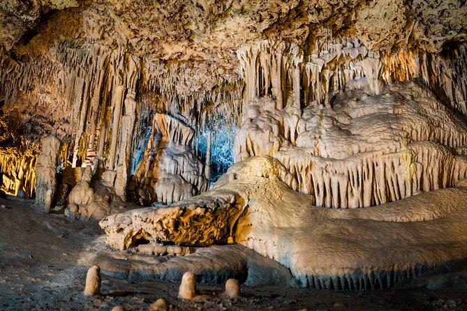 Half Day Tour to Dinosaur Land in Mallorca - The 15-minute bilingual show: built for kids who need a reset