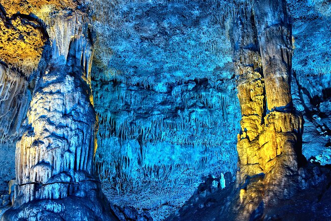 Half Day Tour to Dinosaur Land in Mallorca - Cuevas dels Hams: what you will see in about 30 minutes
