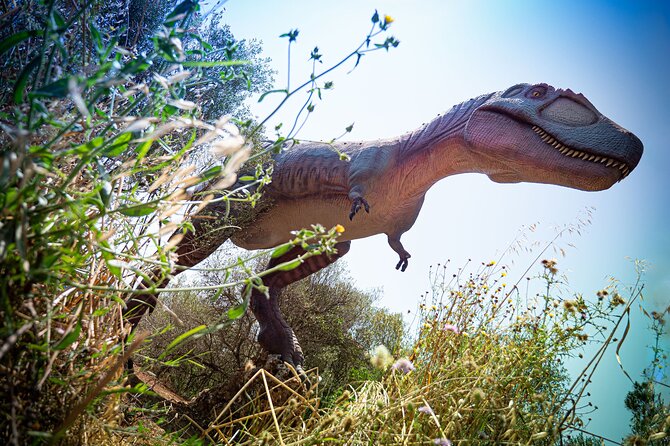 Half Day Tour to Dinosaur Land in Mallorca - Is this tour family-first or adults-friendly?